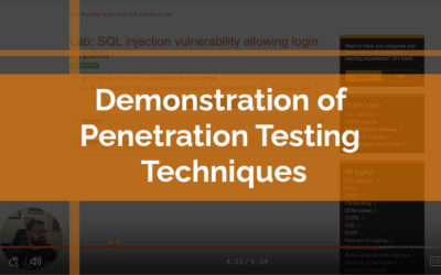 Demonstration of Penetration Testing Techniques
